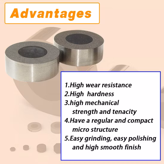 Drawing Mould Wire PCD Drawing Die Blanks Tungsten Carbide Supported Wire Drawing Die Blanks